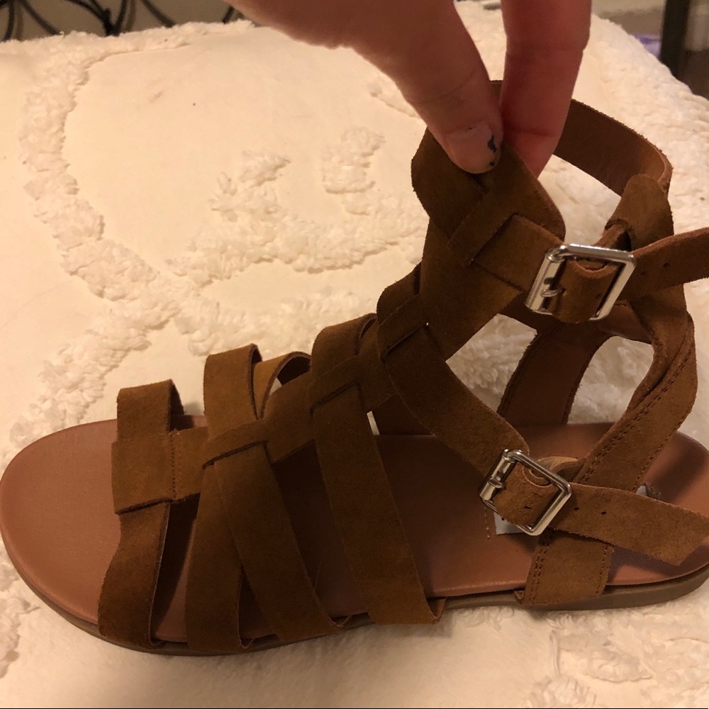 Steve Madden gladiator sandals